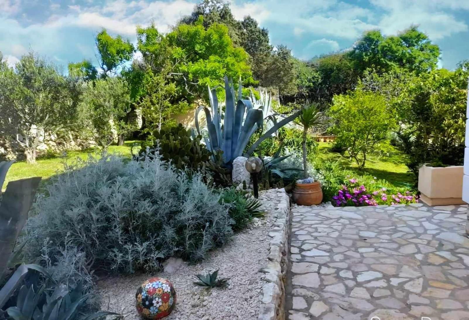 Villa Cesarica Novalja Eksteriør billede