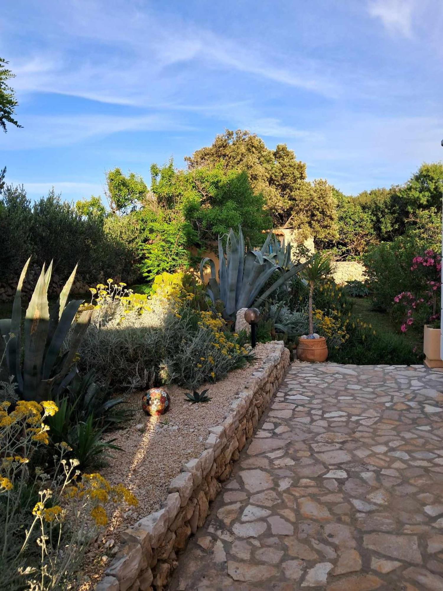 Villa Cesarica Novalja Eksteriør billede